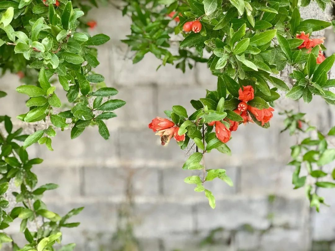 1690296615369684.jpg 3.jpg